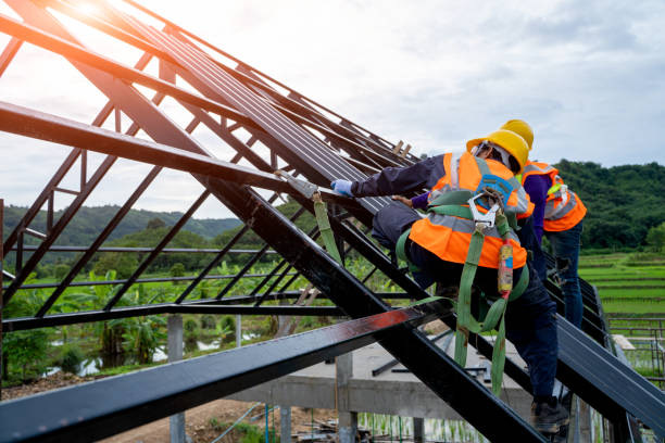 Best Roof Repair Services  in Silver Grove, KY