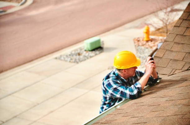 Best Roof Gutter Cleaning  in Silver Grove, KY