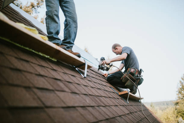Best Flat Roof Repair Services  in Silver Grove, KY